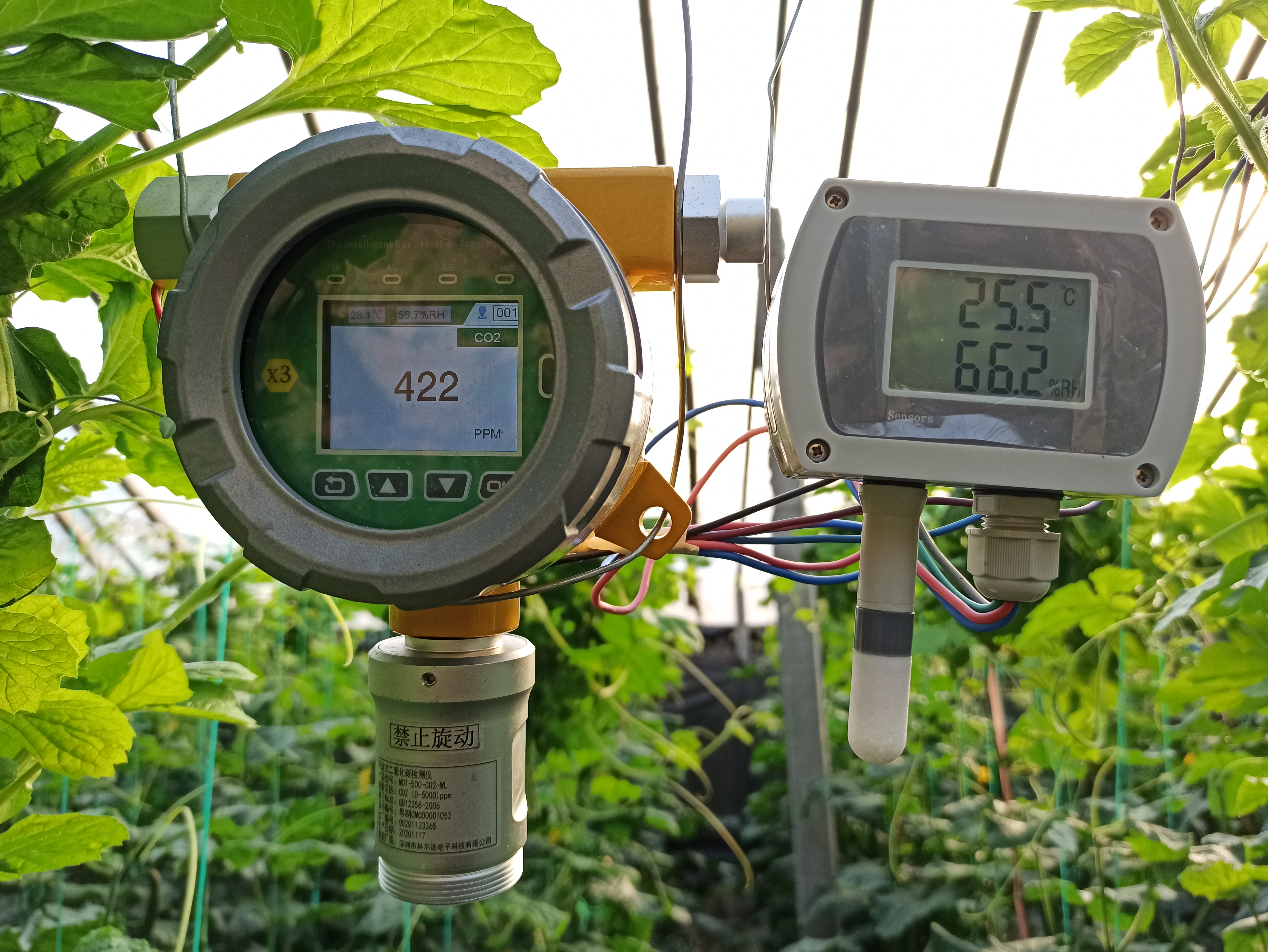 6524bd33733c6.jpg IMG_20210116_153128.jpg